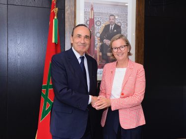 Rencontre entre le Président du Conseil et l’Ambassadrice de l’Union Européenne