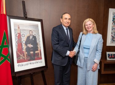 Réunion entre M. Habib El Malki et la directrice exécutive du Conseil irlandais de l’enseignement