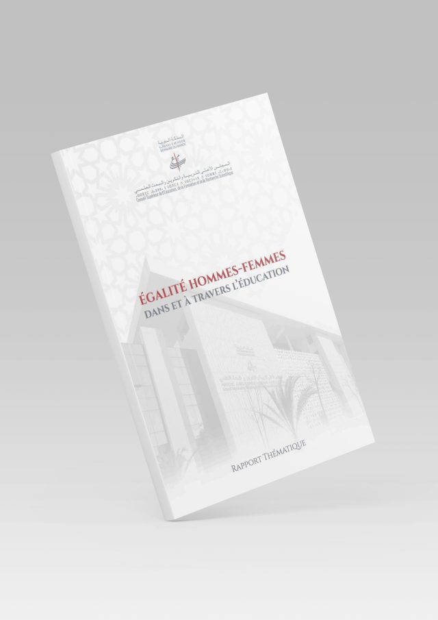 rapport égalité fr